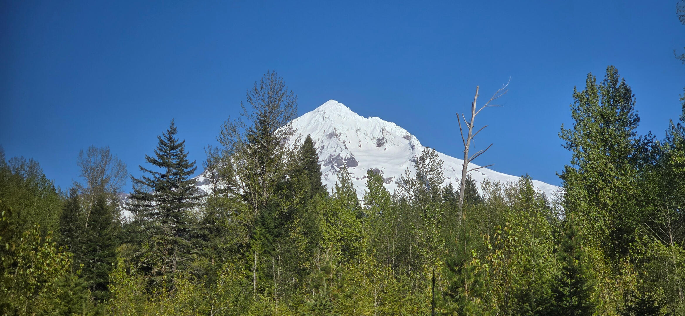 Mt.Hood Oregon